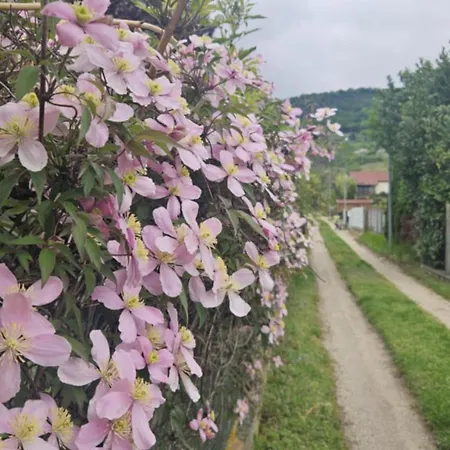 Bagameri Vendeghaz Διαμέρισμα *