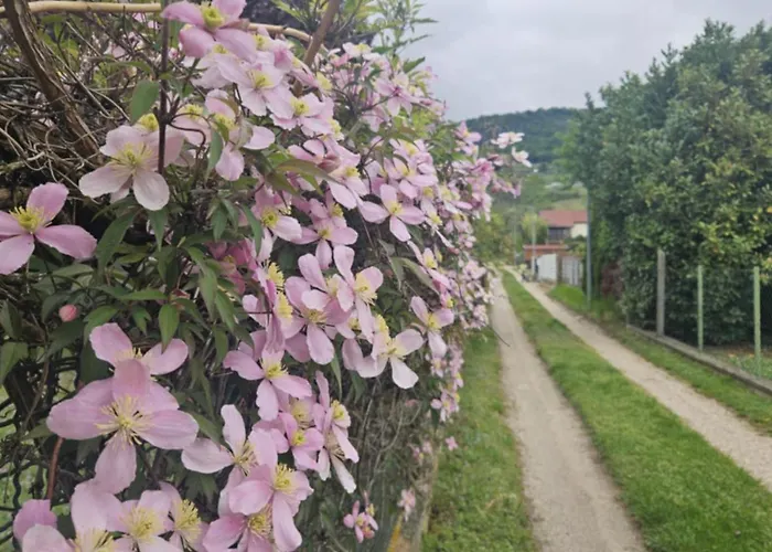 Bagameri Vendeghaz דירה *